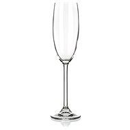 MAISON FORINE VERONICA, 6 pcs, for champagne - Glass