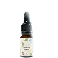 Kvitok pleťové sérum Kalogen, 10 ml - Face Serum