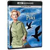 Birds - Blu-ray Film