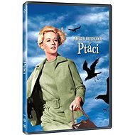 Birds (DVD) - DVD Film