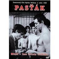 Pasťák (DVD)  - DVD Film