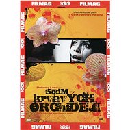 Sedm krvavých orchidejí (DVD)  - DVD Film