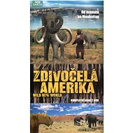 Wild America (2 DVDs) - BBC - DVD Film