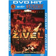 Živel - edice DVD-HIT (DVD)  - DVD Film