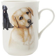 Maxwell & Williams Mug 300 ml Cashmere Pets Labrador - Mug