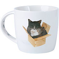 Maxwell & Williams Mug 400 ml Marc Martin Feline Friends Cat in a box - Mug