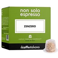 ilcaffeitaliono Ginger tea for nonspresso coffee machine - Capsule