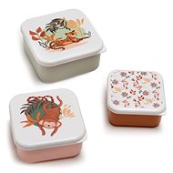 Amadeus Snack box Jalal 3 pcs - Lunch Box