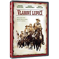 Train robbers - DVD Film