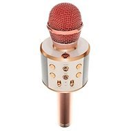 ISO Karaoke mikrofón s reproduktorom Izoxis - Mikrofón