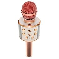 ISO Karaoke microphone with Izoxis speaker - Microphone