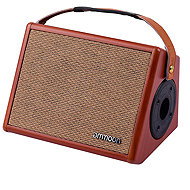 Flanger Ammoon AC-25 - Combo