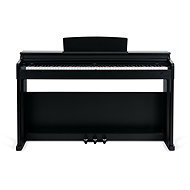 McGrey DP-19 SM - Digital Piano