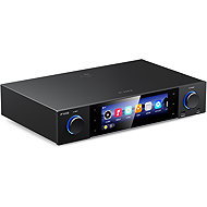 FiiO S15 black - Mini System