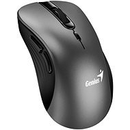 Genius Ergo 8100S kovově šedá - Mouse