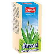 Apotheke Plantain Tea 20 x 1,5g - Tea