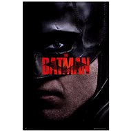 DC Comics Batman: I am Vengeance - poster - Poster