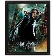 Harry Potter 3D: Snape - obraz - Painting