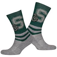 Harry Potter Slytherin Striped Men's Socks (41 - 46) - Socks