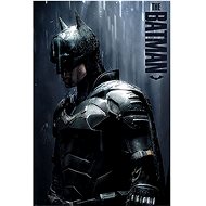 DC Comics Batman Downpour - Poster