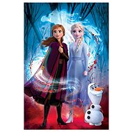 Disney Frozen II Guided Spirit - Poster