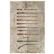 Harry Potter The Wand Chooses The Wizard - Poster