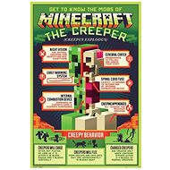 Minecraft Creepy Behaviour - Poster