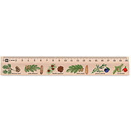METRIE Didakt M02 wooden, conifers, 20 cm - Ruler