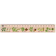 METRIE Didakt M02 wooden, deciduous trees, 20 cm - Ruler
