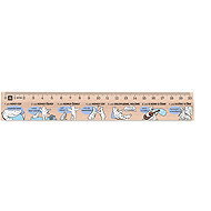 METRIE Didakt M02 wooden, rhetorical falls, 20 cm - Ruler