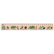 METRIE Didakt M07 wooden, conifers, 25 cm - Ruler