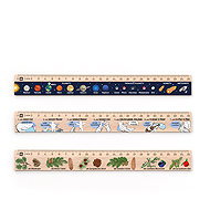 METRIE DSM07 school set of three rulers, 25 cm - Ruler
