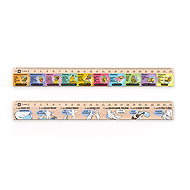 METRIE DSM09 school set of two rulers, 25 cm - Ruler