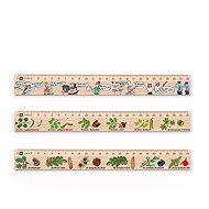 METRIE DSM10 school set of three rulers, 25 cm - Ruler