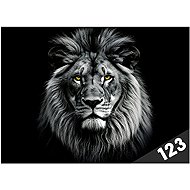 Number Slices Lion - Desky na sešity