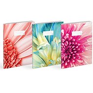 MFP Lux A4 440 - set 3 ks - Exercise Book
