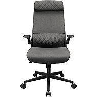 Cougar Stryder grey - Gaming Chair