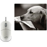 SPEED LINK Snappy2 white + SPEED LINK Frog mousepad - Mouse