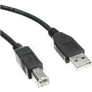 OEM USB 2.0 AB 3 m Anschluss schwarz - Datenkabel