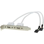  Bracket with 2 USB connectors on the motherboard  - Accessory