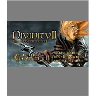  Divinity II Developer's Cut  - PC Game