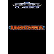  Bonanza Bros.  - PC Game