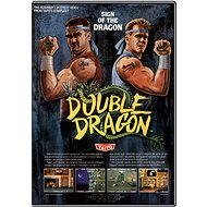 Double Dragon Trilogy - PC Game