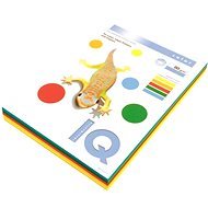 MONDI IQ Color 480 / T - balenie 250ks - Kancelársky papier