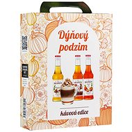 MONIN Pumpkin Autumn 3 × 250 ml - Syrup