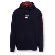 Red Bull Racing Sim Racing Wave Hoodie - Sweatshirt
