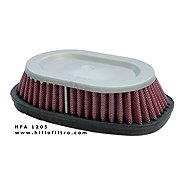HIFLOFILTRO HFA1205 - Air Filter