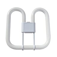 2D 21W/6500K - daylight blue light - Fluorescent Light