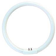 YH 22W/6500K energy saving circular fluorescent lamp, day blue - Fluorescent Light