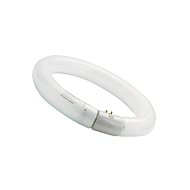 FC22/865 - Fluorescent Light